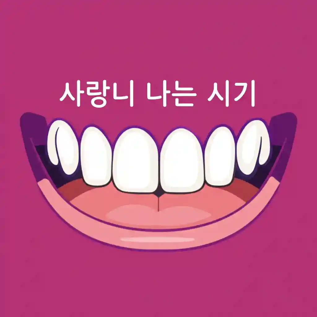 사랑니_나는_시기_thumb webp