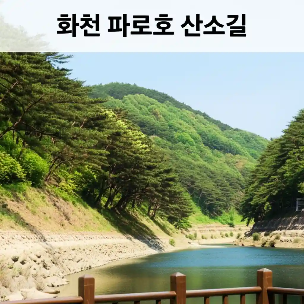 파로호 산소길의 시원한 숲길과 데크길