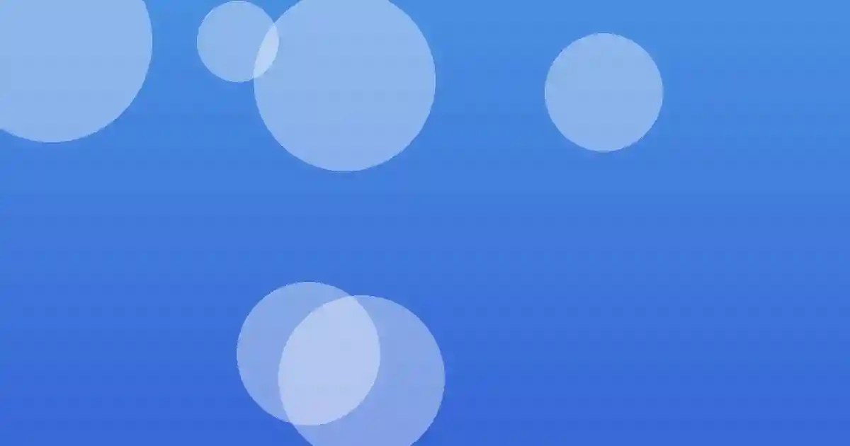 심진화의 활발한 방송 활동