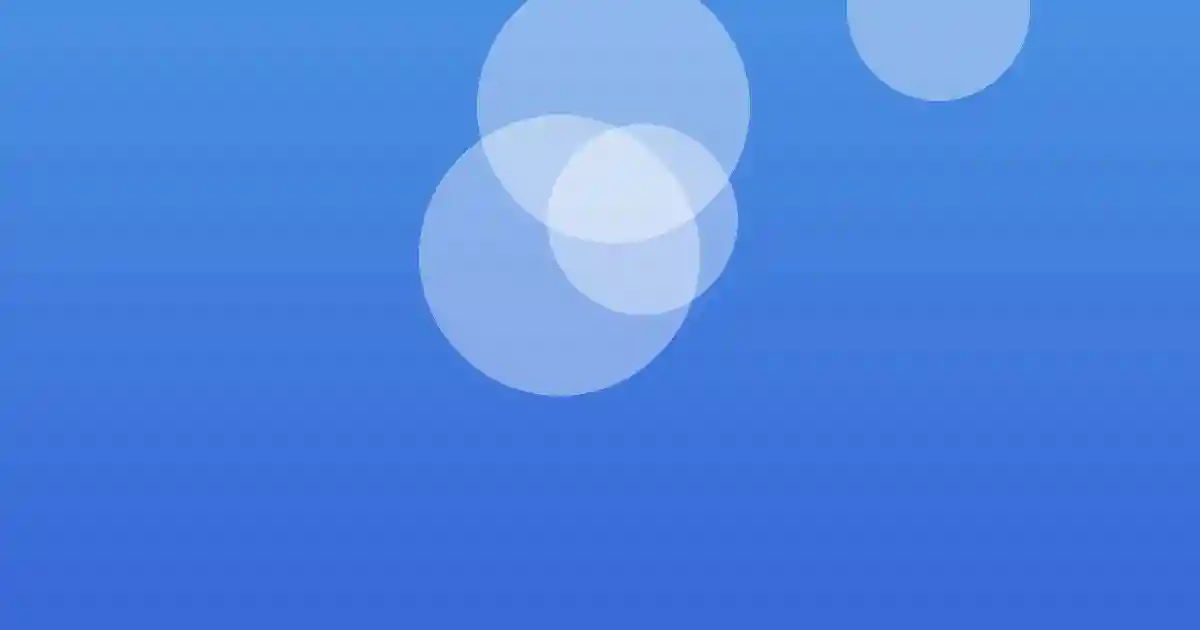 영동 포도축제 전경