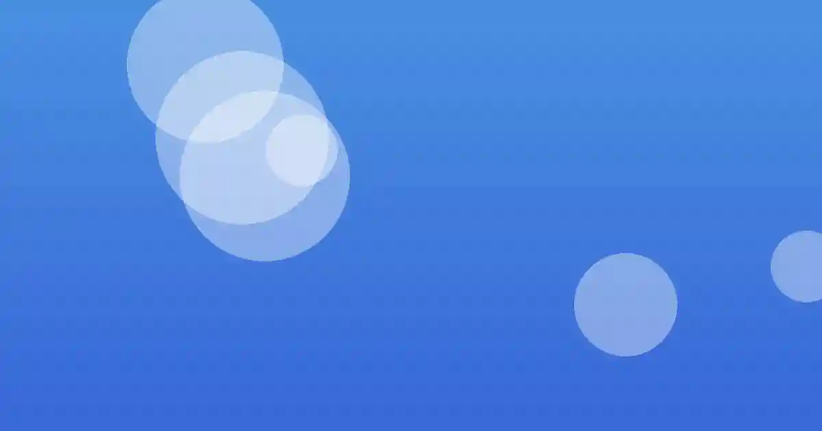 다양한 벨기에산 트러플 제품 초콜릿 오일 소스 이 한데 모여 있는 모습