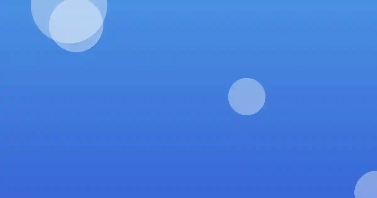 다양한 난이도의 영어 원서들이 깔끔하게 진열된 서가