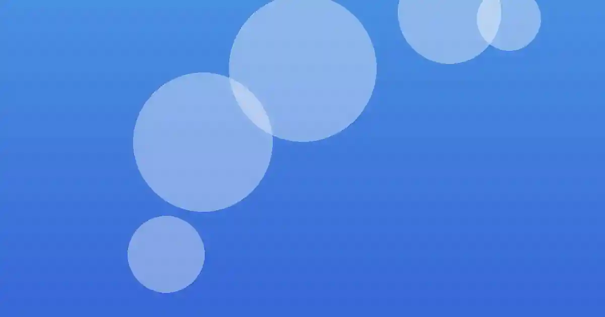 미스터트롯 진 공약 이행 장면